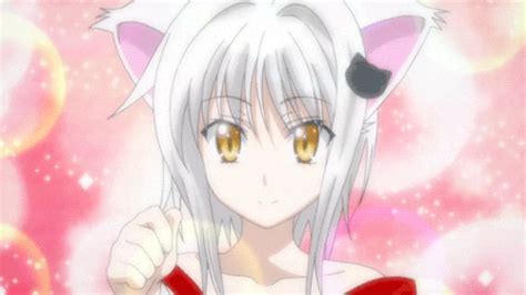 Nekomimi in Anime: Top 10 Anime Cat Girls